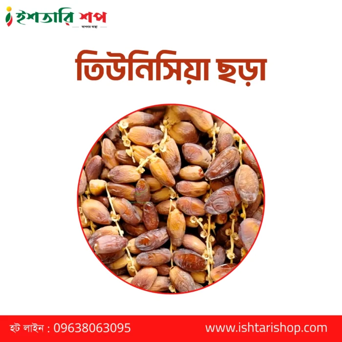 তিউনিসিয়া-ছড়া-scaled-1.webp